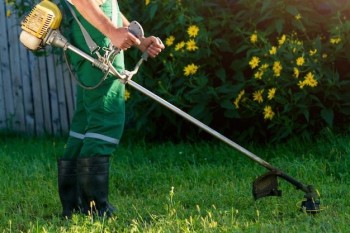 Serviço de Jardinagem no Bairro dos Pimentas